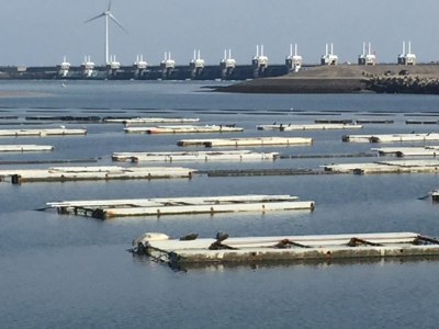 Holiday apartment Chapelle-Est - Environment photo 30