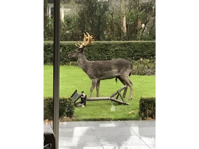 Holiday apartment Chapelle-Est - Environment photo 32