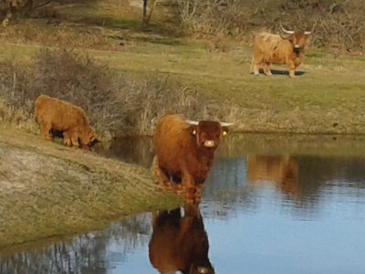 Holiday apartment Chapelle-Est - Environment photo 33