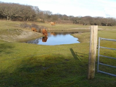 Holiday apartment Chapelle-Est - Environment photo 35