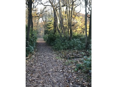 Holiday apartment Chapelle-Est - Environment photo 37