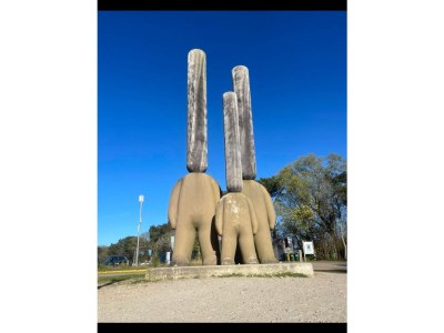 Holiday apartment Chapelle-Est - Environment photo 38