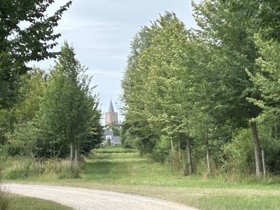 Holiday apartment Chapelle-Est - Environment photo 39