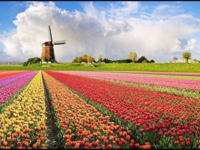 Holiday apartment Homberg - Environment photo 16