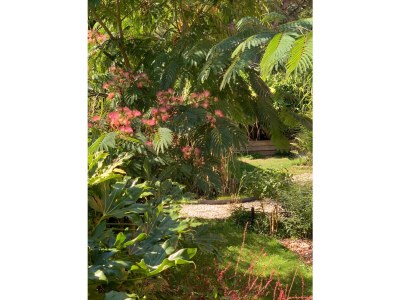 Holiday house Ferienwohnung Bergen - Outdoor photo 4