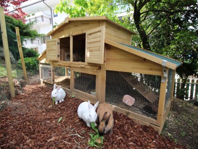 Holiday apartment Gutenberg - Outdoor photo 12