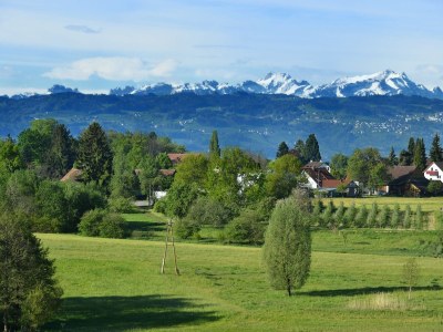 Holiday apartment Holiday Home Dinkelbach object 1 apartment B -Summerfeeling- - Features photo 17