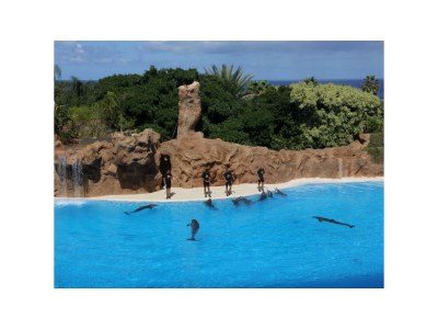 Holiday house Casa Salvatore - Environment photo 27