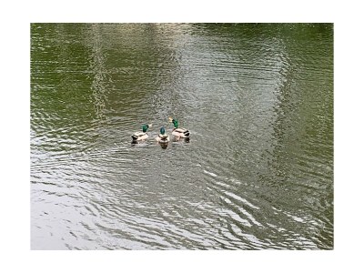 Holiday house In Lemmer with boat and 11m jetty - Environment photo 35