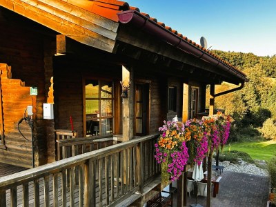 Holiday apartment Chalet am Bach - Outdoor photo 3