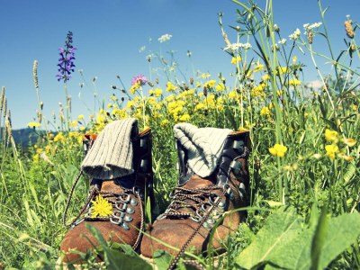 Holiday apartment Chalet am Bach - Environment photo 17