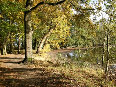 Holiday house Nordsee Varel - Environment photo 15