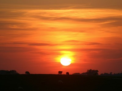 Holiday house Nordsee Varel - Environment photo 19