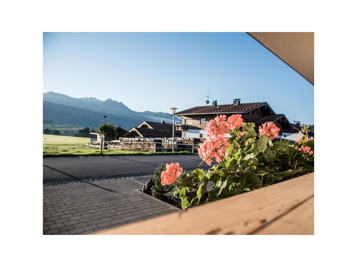 Holiday apartment Apartment Wiesenblick - Outdoor photo 3