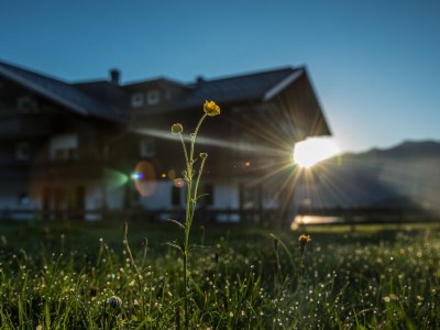 Holiday apartment Apartment Wiesenblick - Outdoor photo 4