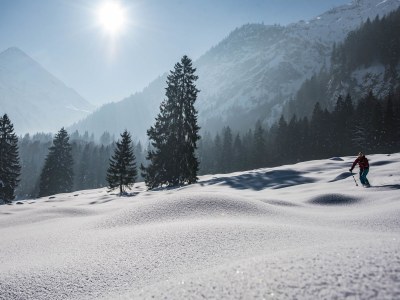 Holiday apartment Apartment Wiesenblick - Environment photo 24