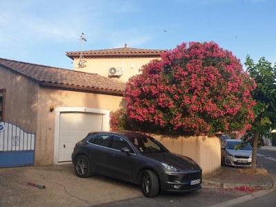 Villa Clapiers with pool - Outdoor photo 3