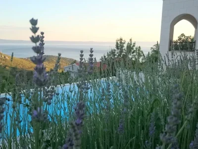 Holiday house 8910 - Outdoor photo 6