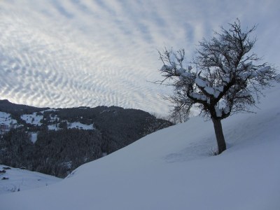 Holiday apartment Hubelhus - Environment photo 11