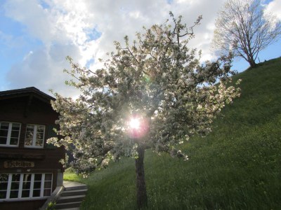 Holiday apartment Hubelhus - Environment photo 13