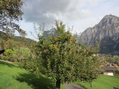 Holiday apartment Hubelhus - Environment photo 16