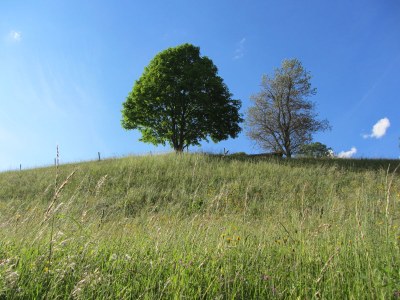 Holiday apartment Hubelhus - Environment photo 17