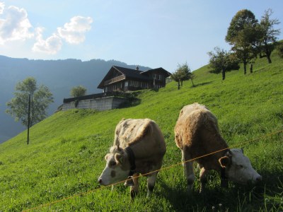 Holiday apartment Hubelhus - Environment photo 18