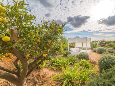 Villa Pool Villa Can Carino including WiFi and air conditioning (bookable) Near Campos / Es Trenc Beach - Outdoor photo 6