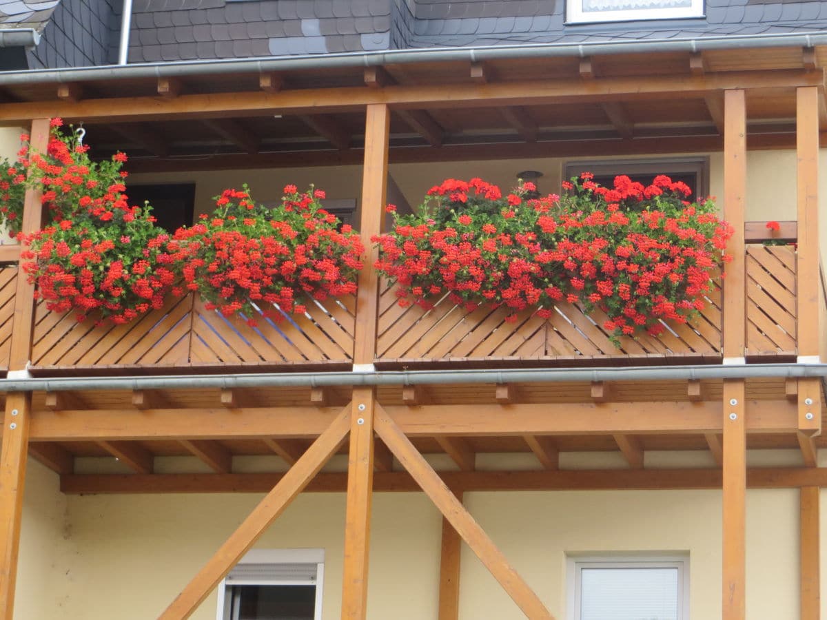 Holiday apartment Kieren