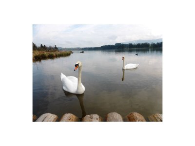 Holiday house Vacation Homes ''Hochbergle'', Lechbruck am S - Outdoor photo 9