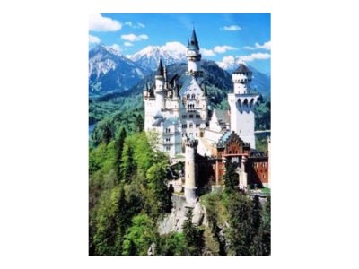 Holiday house Vacation Homes ''Hochbergle'', Lechbruck am S - Environment photo 36