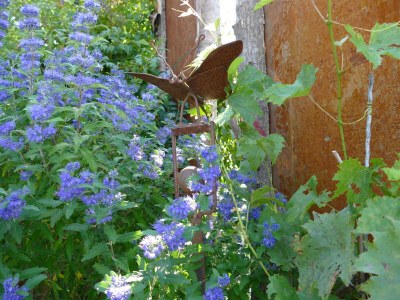 Holiday apartment Lichtblick - Outdoor photo 9