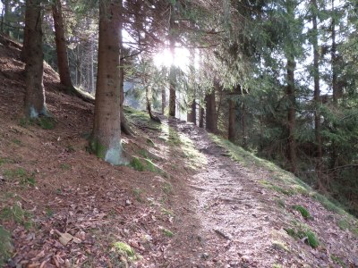 Holiday apartment Bürgermeisterwohnung - Environment photo 17