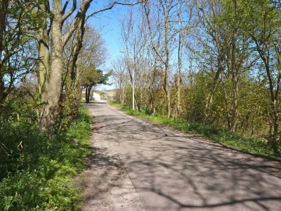 Holiday house Beneath the High Dune - Environment photo 20