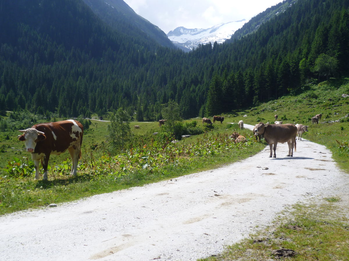 Holiday apartment Staffel Krimml - Outdoor photo 3