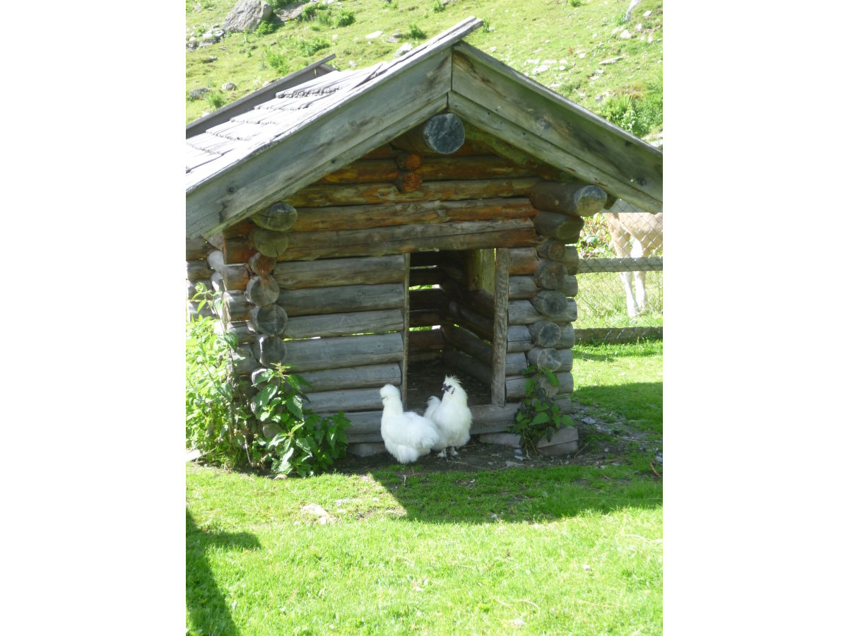 Holiday apartment Staffel Krimml - Outdoor photo 4