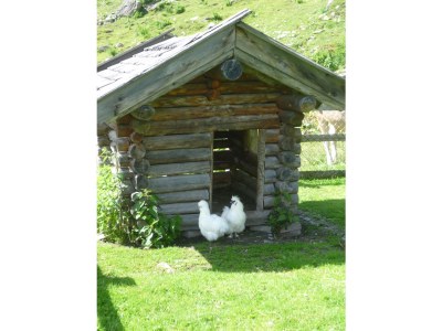 Holiday apartment Staffel Krimml - Outdoor photo 4