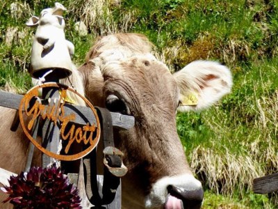 Holiday apartment Nebelhorn im Züchterhof - Environment photo 24