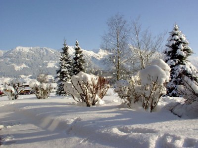 Holiday apartment Bolgen im Züchterhof - Outdoor photo 7