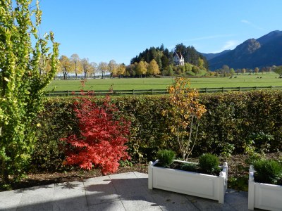 Holiday apartment Vogt - Outdoor photo 3