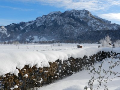 Holiday apartment Vogt - Outdoor photo 7