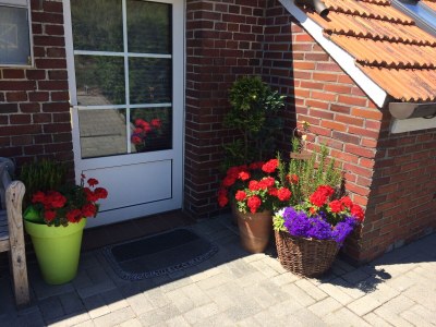 Holiday house Tini - Haus Deichperle in Dornumersiel - Holiday house