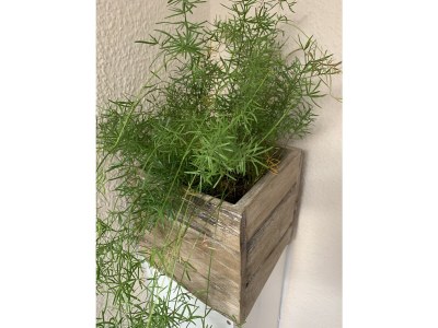 Holiday house Tini - Haus Deichperle - Outdoor photo 10