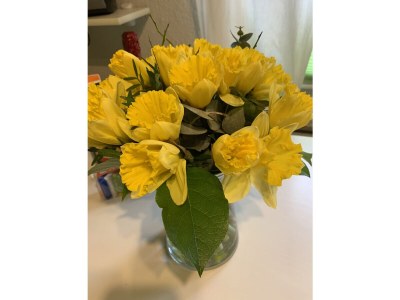 Holiday house Tini - Haus Deichperle - Outdoor photo 14