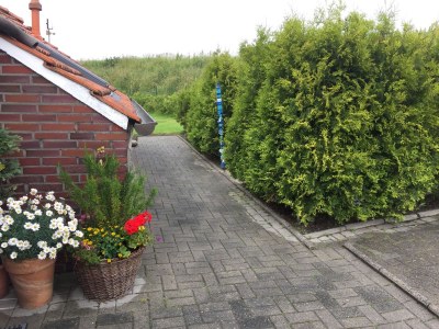 Holiday house Tini - Haus Deichperle - Features photo 17