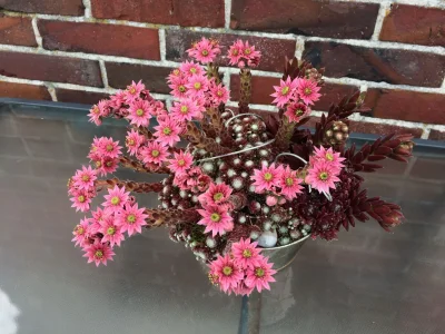 Holiday house Tini - Haus Deichperle - Features photo 23