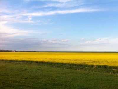 Holiday house Tini - Haus Deichperle - Features photo 25