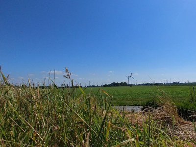 Holiday house Tini - Haus Deichperle - Environment photo 34