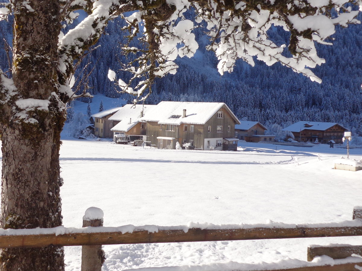 Holiday apartment Herlinde Moosbrugger - Outdoor photo 3