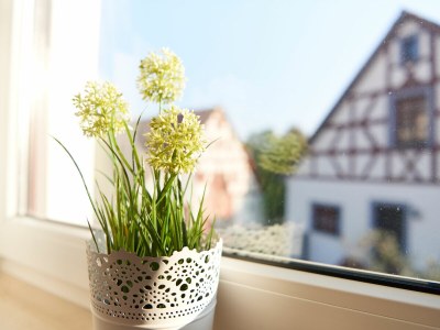 Holiday apartment Zum Schloss - Outdoor photo 7
